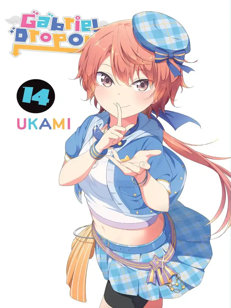 9798855401714 Gabriel Dropout Volume 14